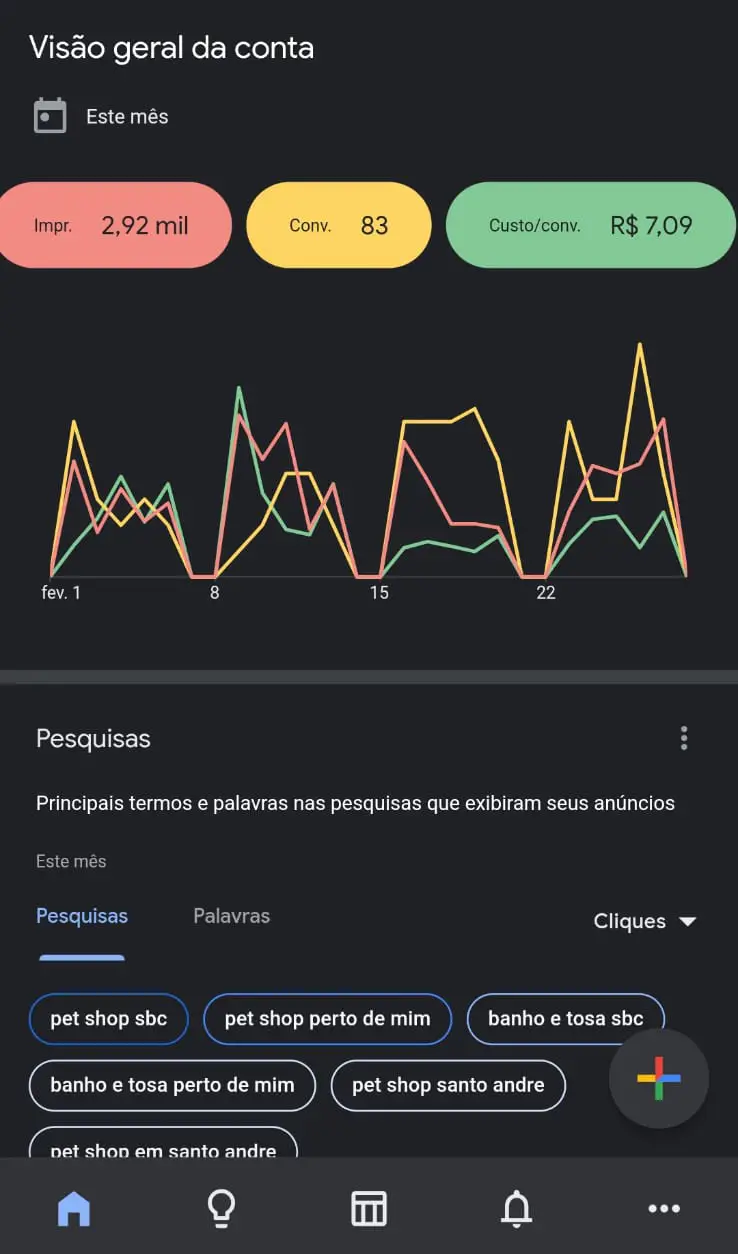 Métricas do Google Ads do Cliente de: Pet Shop
